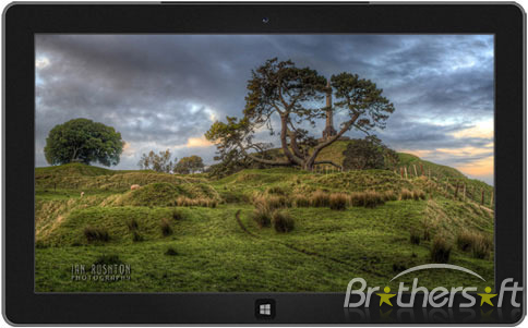 New Zealand Landscapes One Tree Hill Theme 
